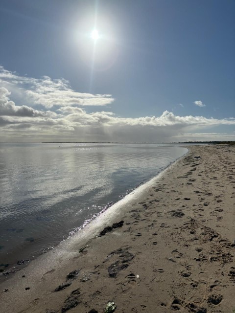 Impression 4