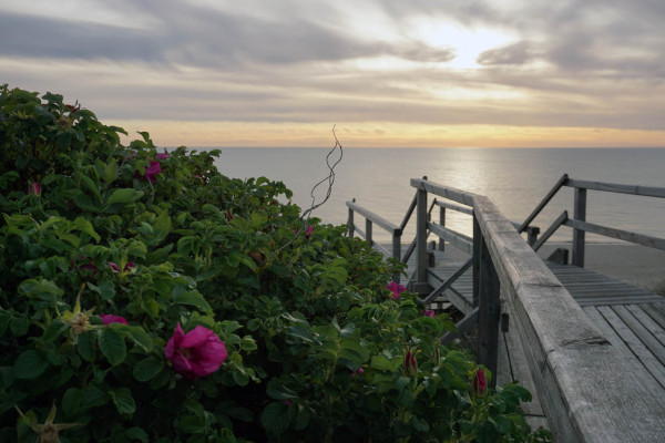 Basenfasten auf Sylt: Ein Erfahrungsbericht